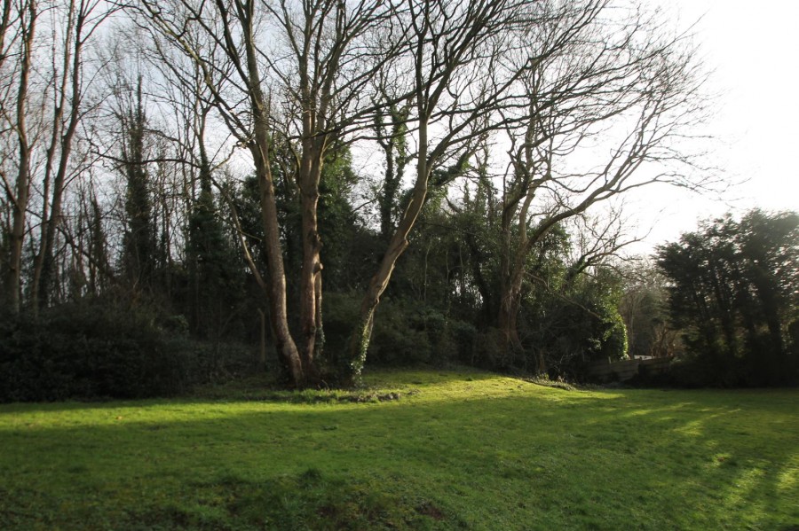 Images for Milbrook Court, Halesowen