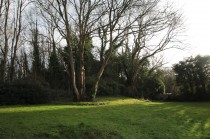 Images for Milbrook Court, Halesowen