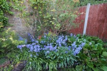 Images for New England, Halesowen
