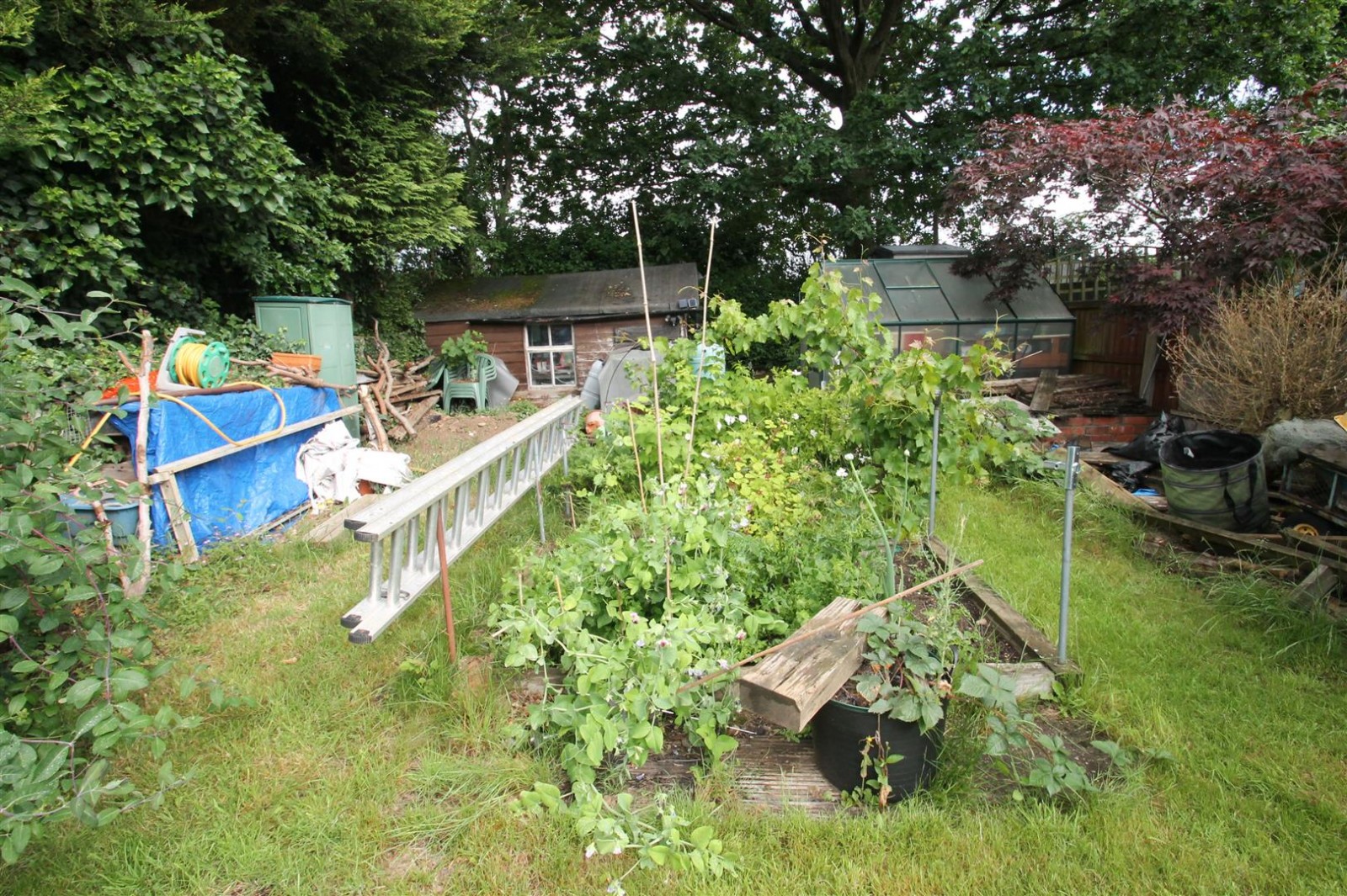 Images for Greenhill Road, Halesowen