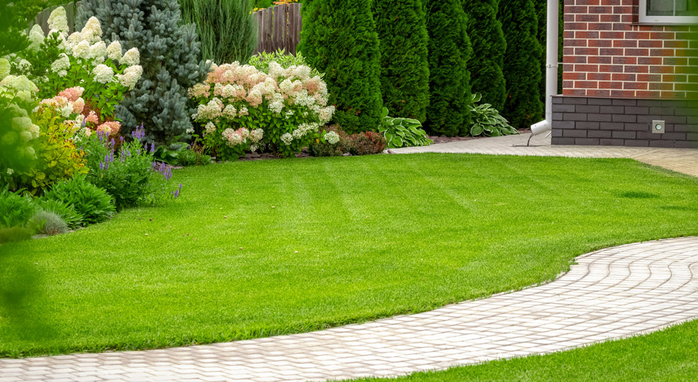Tidy Up The Garden
